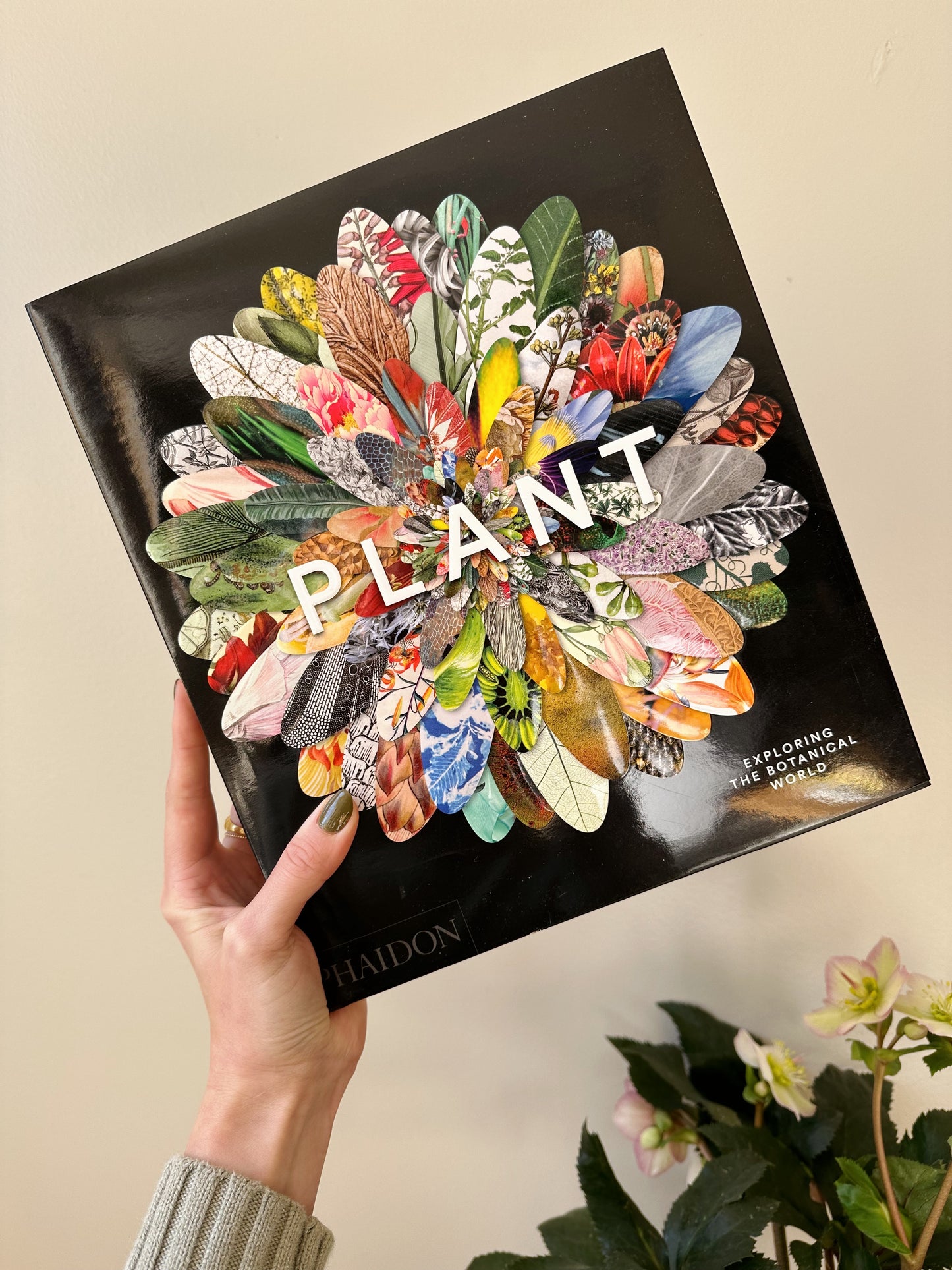 Plant, Exploring the Botanical World