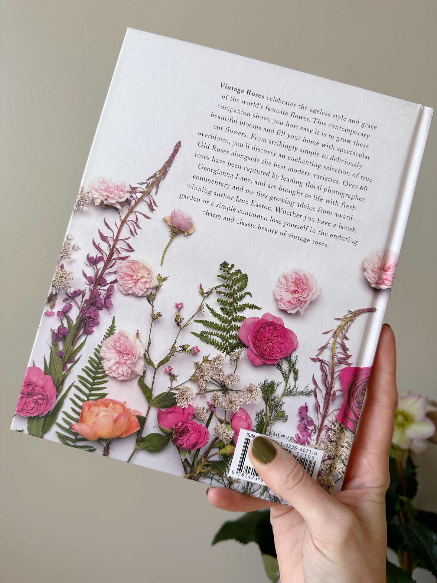 Vintage Roses : Beautiful Varieties for Home and Garden