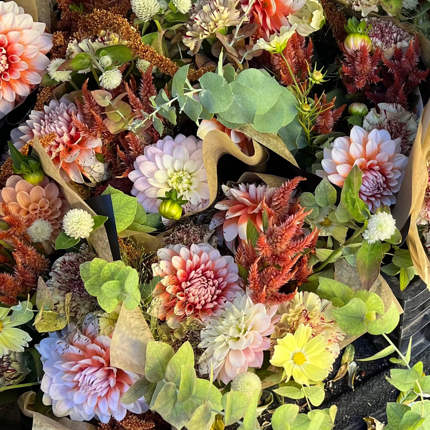 Helios Floral Subscription — Fresh Seasonal Arrangements