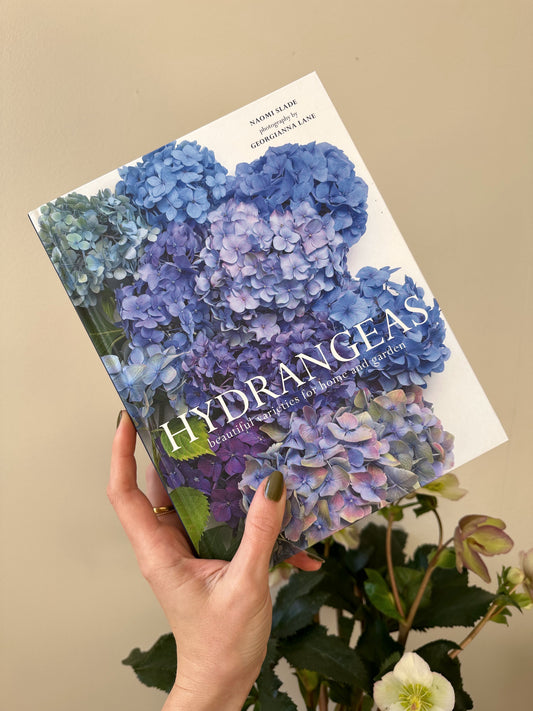 Hydrangeas : Beautiful Varieties for Home and Garden