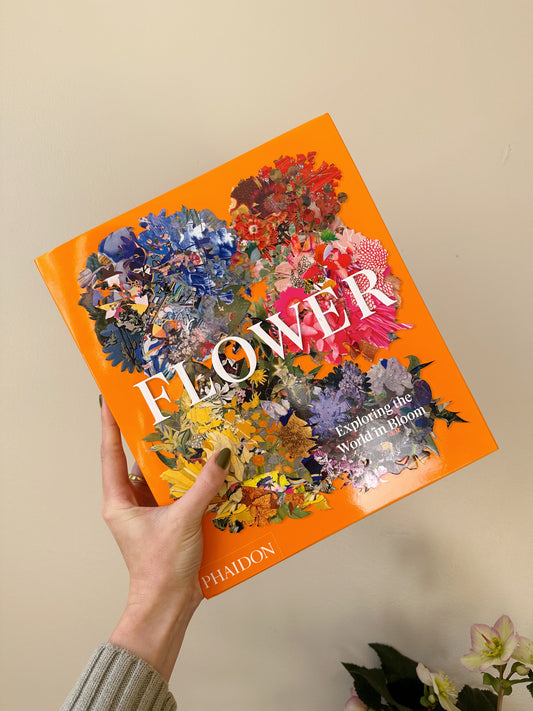Flower, Exploring the World in Bloom