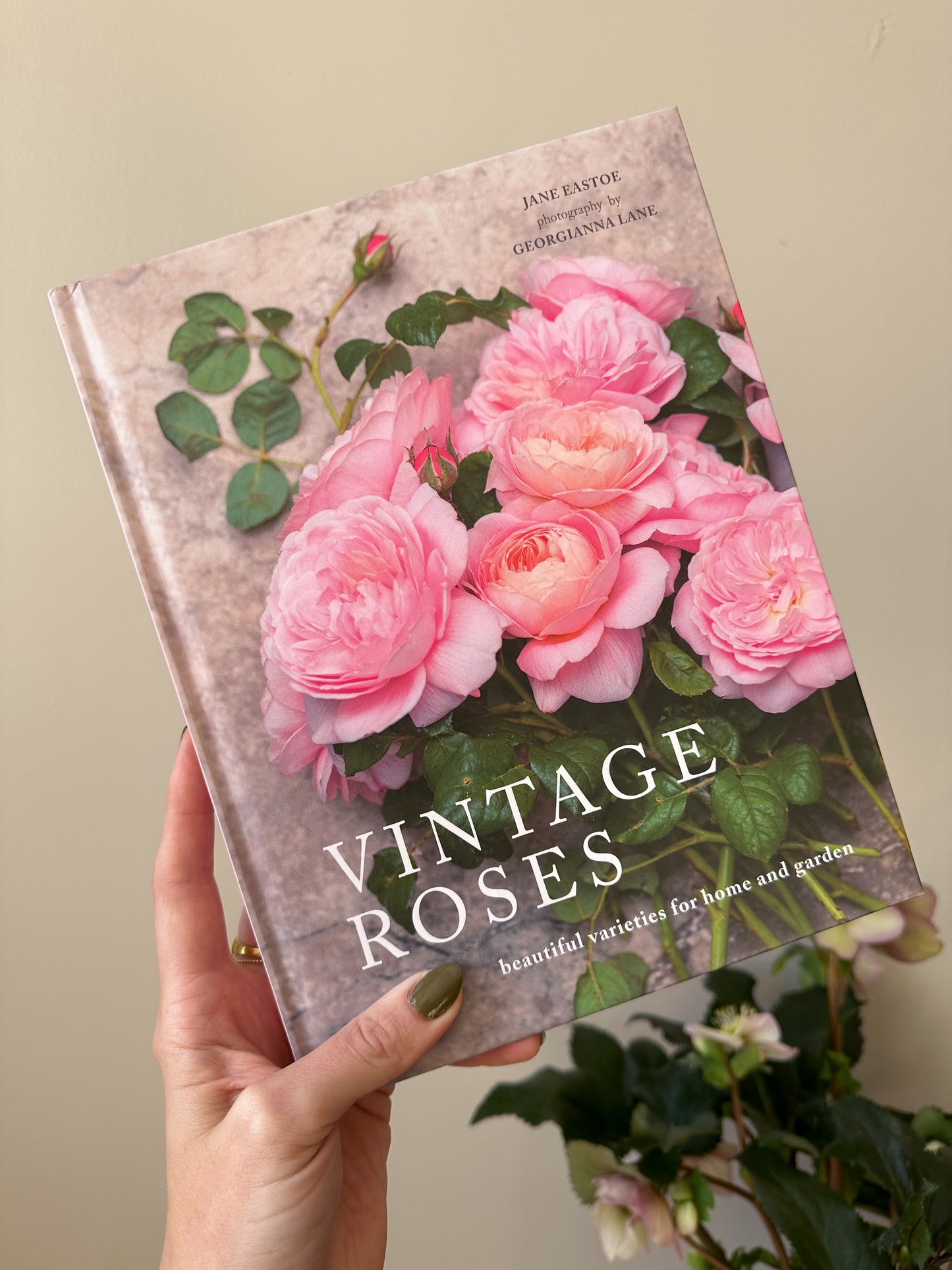 Vintage Roses : Beautiful Varieties for Home and Garden